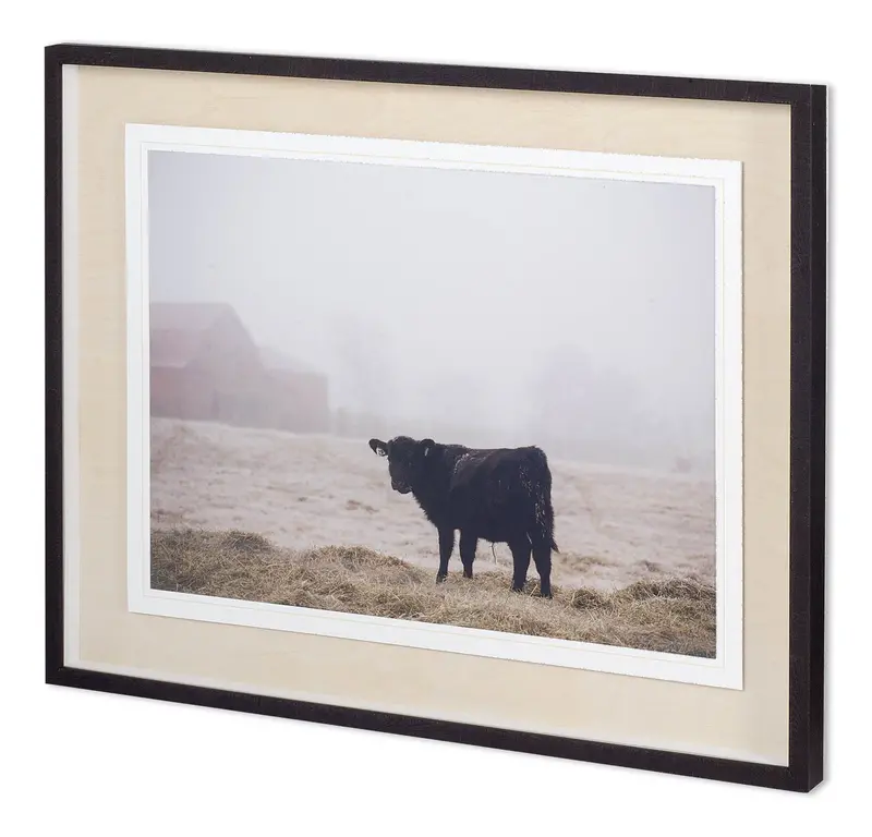 Adam Mead'S Farm Study Ii – Curated Framed Photography Art With Acid-Free Mat And Glass Cover 1