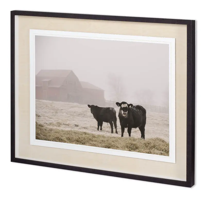 Adam Mead'S Farm Study Iii – Gallery-Ready Framed Photo Print With Matting And Clear Glass 1