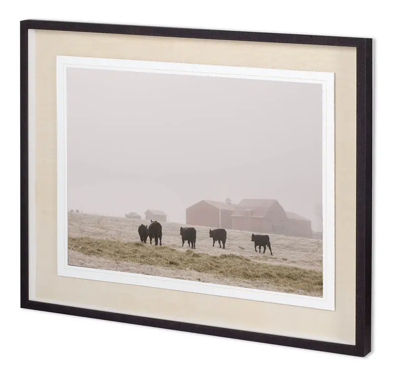 Adam Mead'S Farm Study Iv – Framed Photo Art Print With Mat And Protective Glass 1