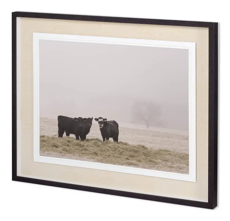 Adam Mead'S Farm Study V – Limited-Edition Framed Photo Art With Conservation Mat And Glass 1