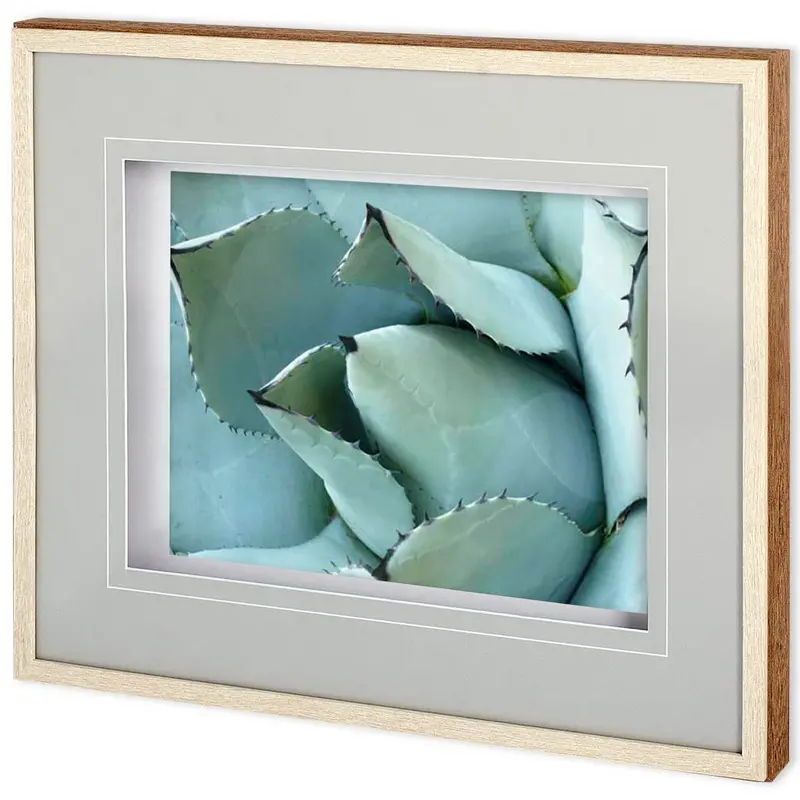Agave Detail I – Framed Photo Art Print Under Glass By Alison Jerry 1