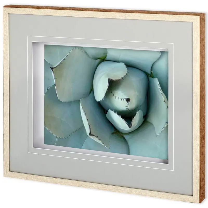 Agave Detail Ii – Framed Photo Art Print Under Glass By Alison Jerry 1