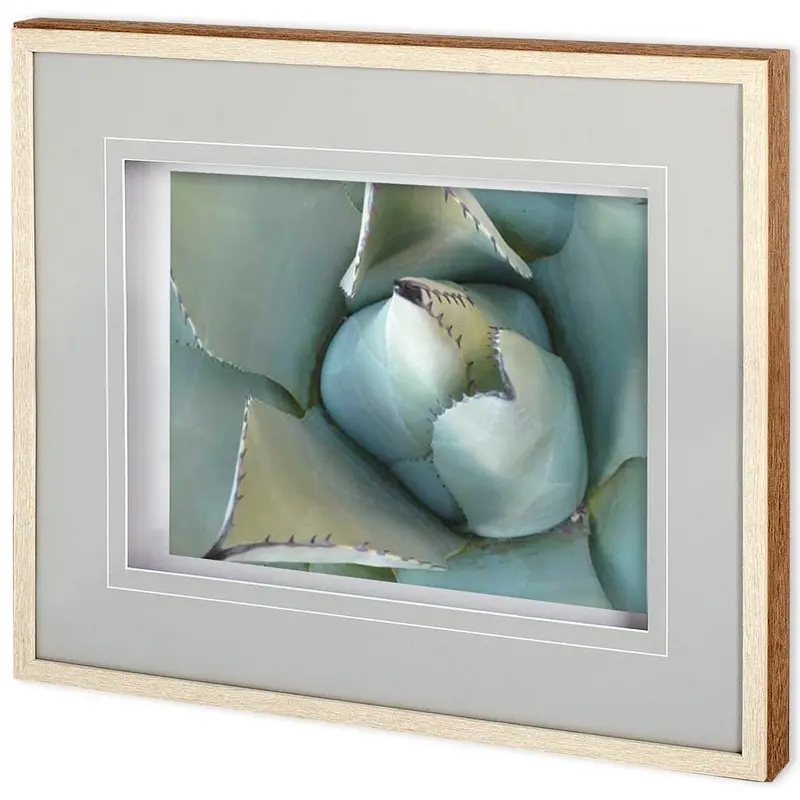 Agave Detail Iii – Framed Photo Art Print By Alison Jerry, Matted & Glazed 1