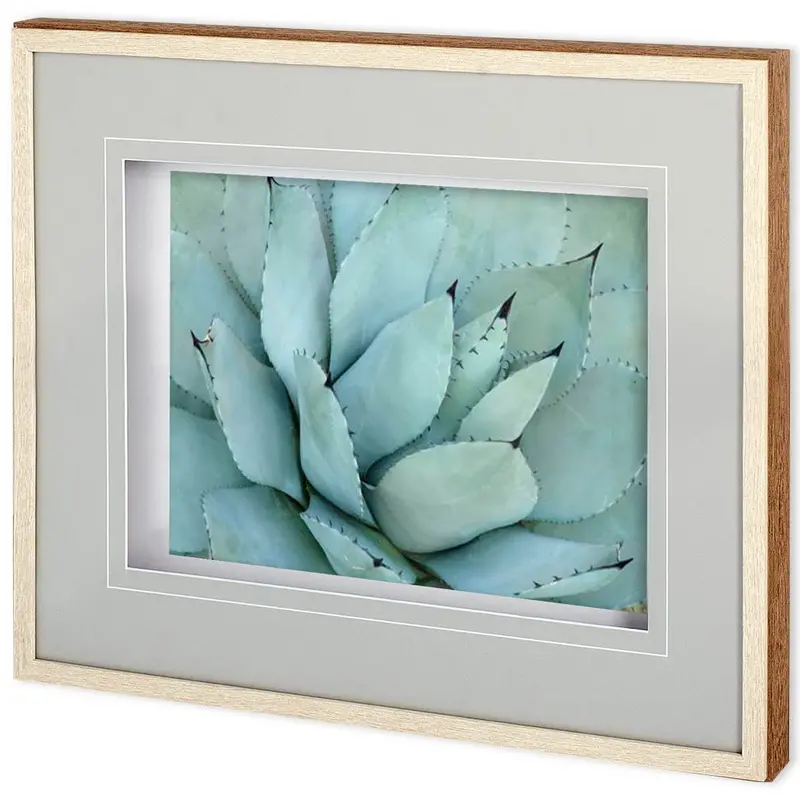 Agave Detail Iv – Framed Photo Art Print By Alison Jerry, Matted & Glazed 1