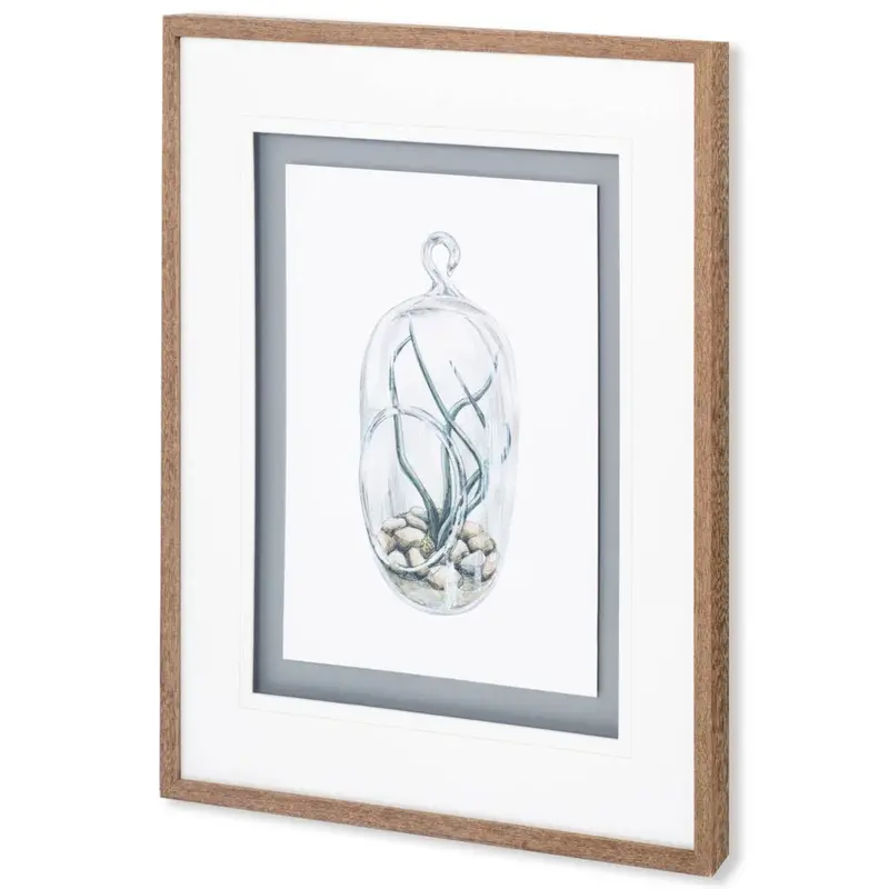 Air Plant 1 – Matted Glass-Framed Art Print By Brenna Harvey 1