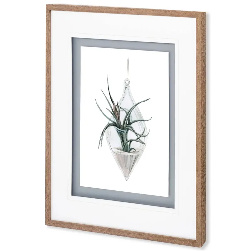 Air Plant 2 – Elegant Matted Glass-Framed Wall Art By Brenna Harvey 1