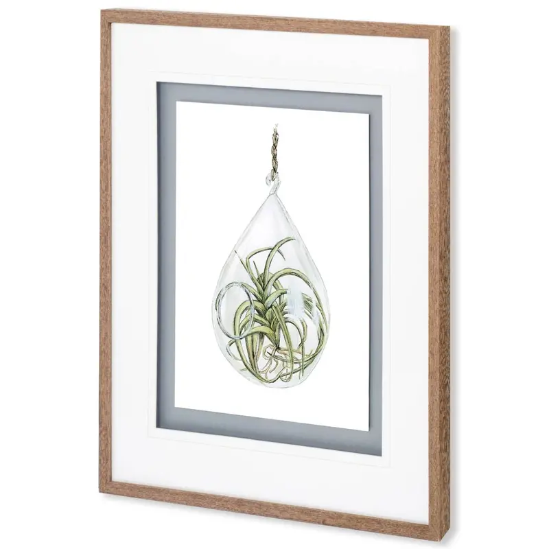 Air Plant 3 – Museum-Quality Matted & Glass-Framed Art Print By Brenna Harvey 1
