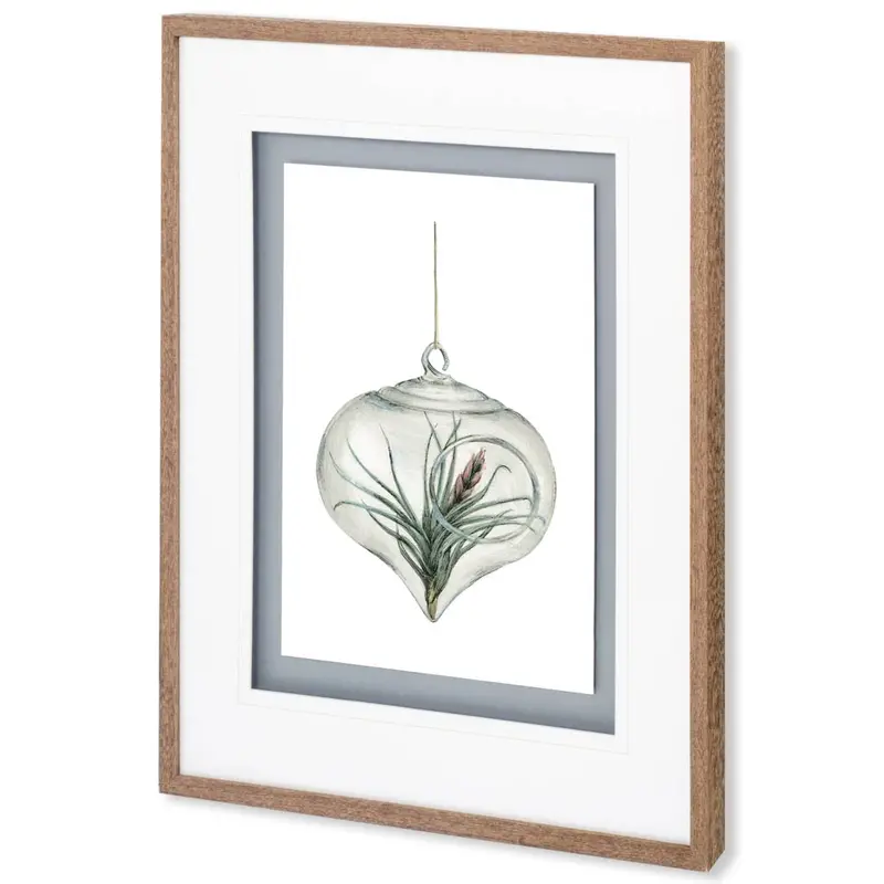Air Plant 4 – Refined Matted Glass-Framed Artwork By Brenna Harvey 1