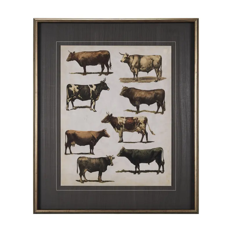 Antique Cow Chart Framed Art Print By Mercana Studio – Matted & Glass-Protected Vintage Decor 1