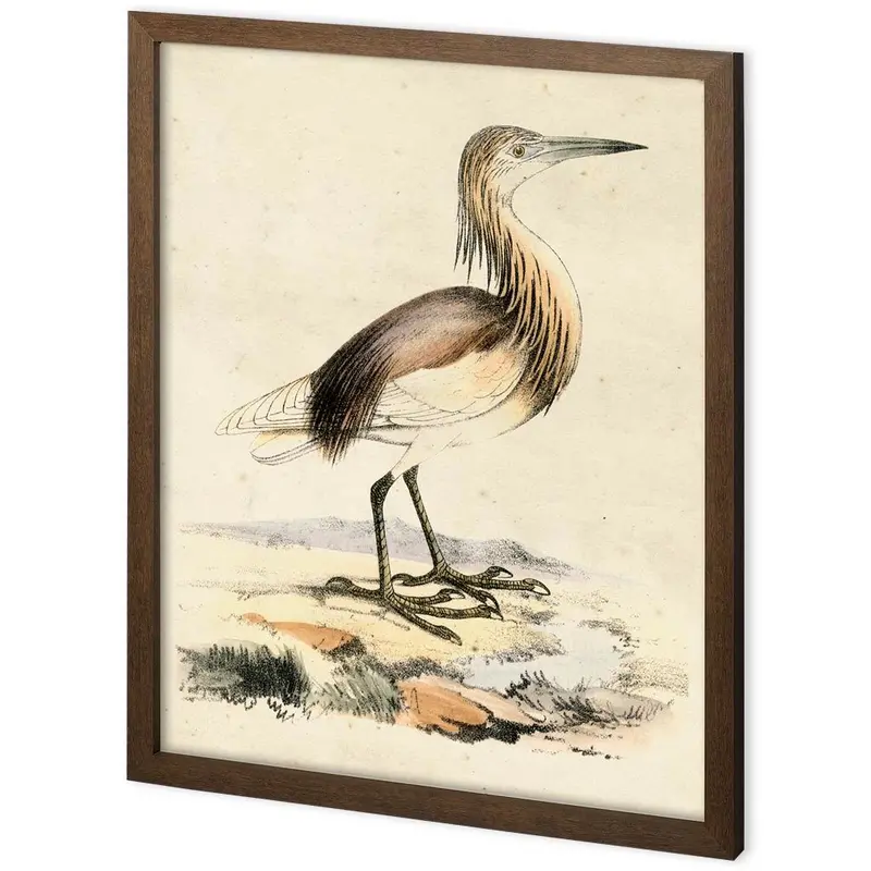Antique Heron I Textured Decograph Art Print By Ferdos Maleki – Hand-Embellished & Framed 1