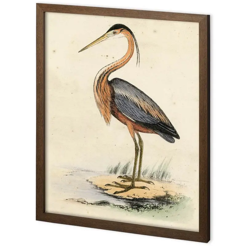 Antique Heron Ii Textured Decograph Art Print By Ferdos Maleki – Hand-Embellished & Framed 1