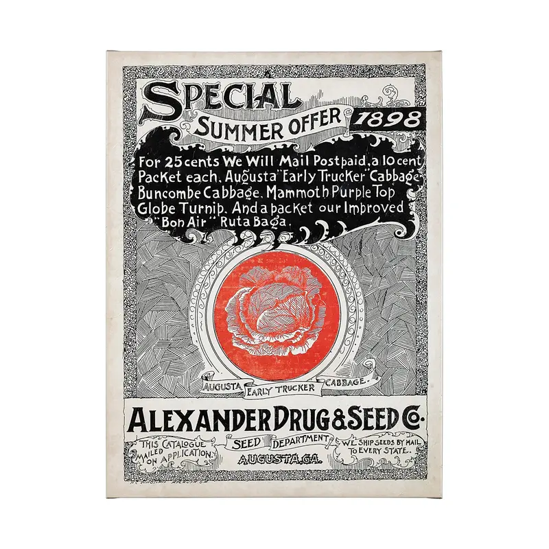 Antique Seed Packet Xiiii Textured Canvas Wall Art By Mercana Studio, Hand-Embellished 1