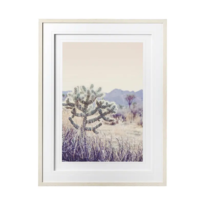 Arid Rose By Irene Suchocki – Textured Hand-Embellished Framed Photograph With Glass Matting 1