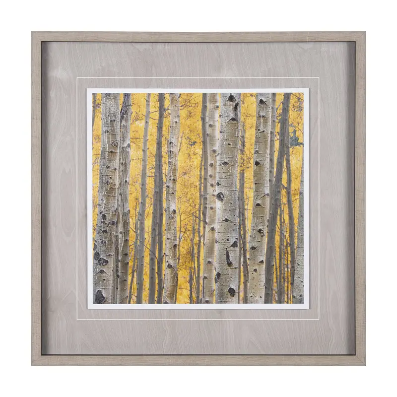 Aspen Trees 3 By Jamie Cook – Textured Framed Photo Art Under Glass 1