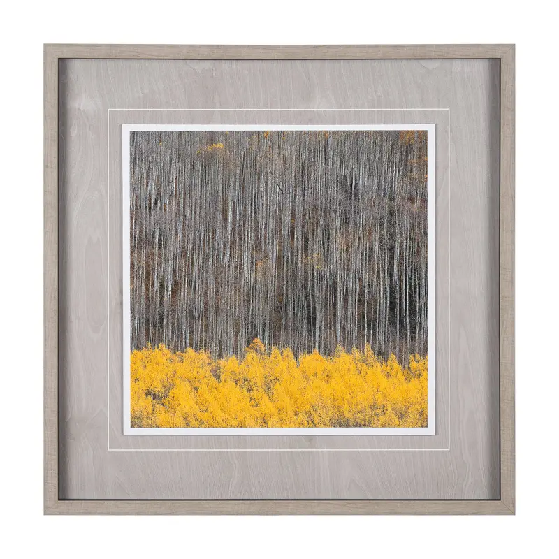 Aspen Trees 4 By Jamie Cook – Framed Photo Art Print With Mat & Glass 1