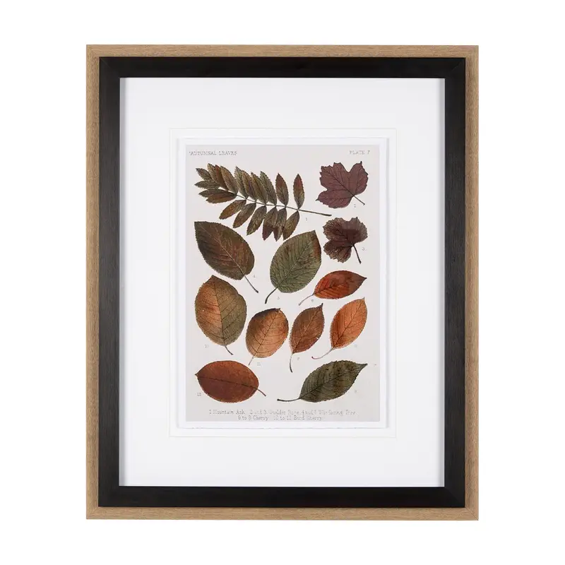 Autumnal Leaves Ii: Refined Framed Wall Decor With Matting And Glass By Vision Studio 1