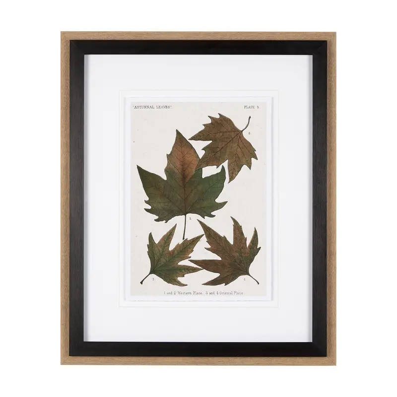 Autumnal Leaves Iv: Artfully Presented Framed Print With Matting And Glass By Vision Studio 1