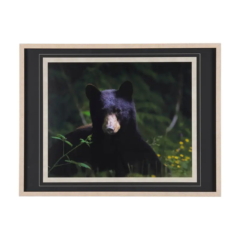 Bear By Chad Mackay – Matted Framed Photo Art Print 1