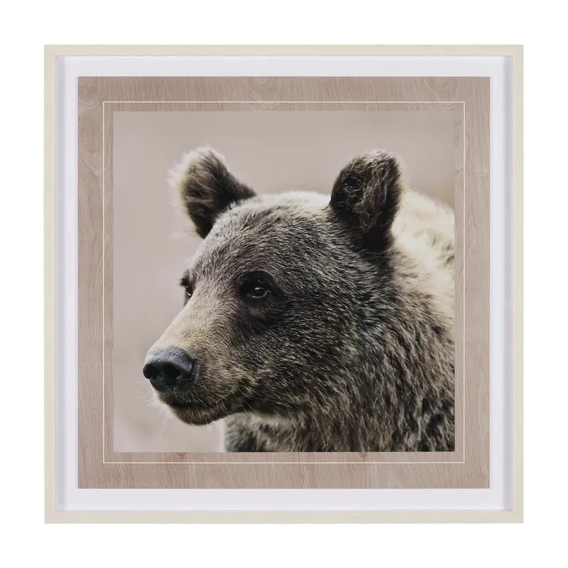 Bear Focus – Hush By Wink Gaines – Hand-Embellished Textured Framed Photo 1