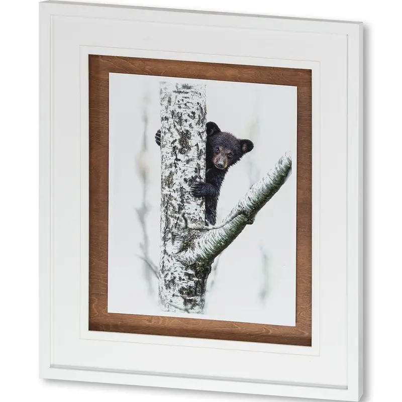Bears At Play V – Framed Photo Art Print With Mat And Glass By Phburchett 1
