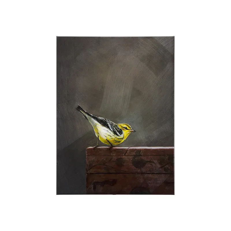 Blackburnian Warbler Art Print 'Graceful Poise Iv' – 30 X 40 Inch Framed Wall Decor 1