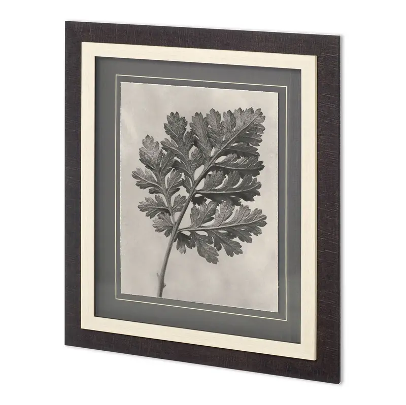 Blossfeldt Botanical Iii Framed Art Print By Karl Blossfeldt – Hand-Embellished & Matted Under Glass 1