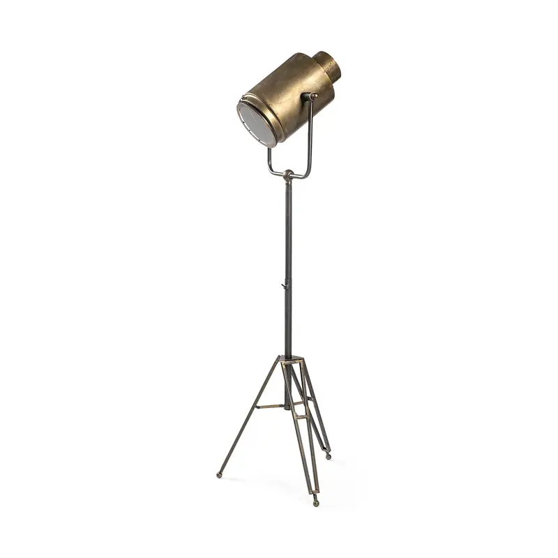 Debdou Adjustable Floor Lamp – Gold Metal Cinema-Style Standing Light (61" Height) 1