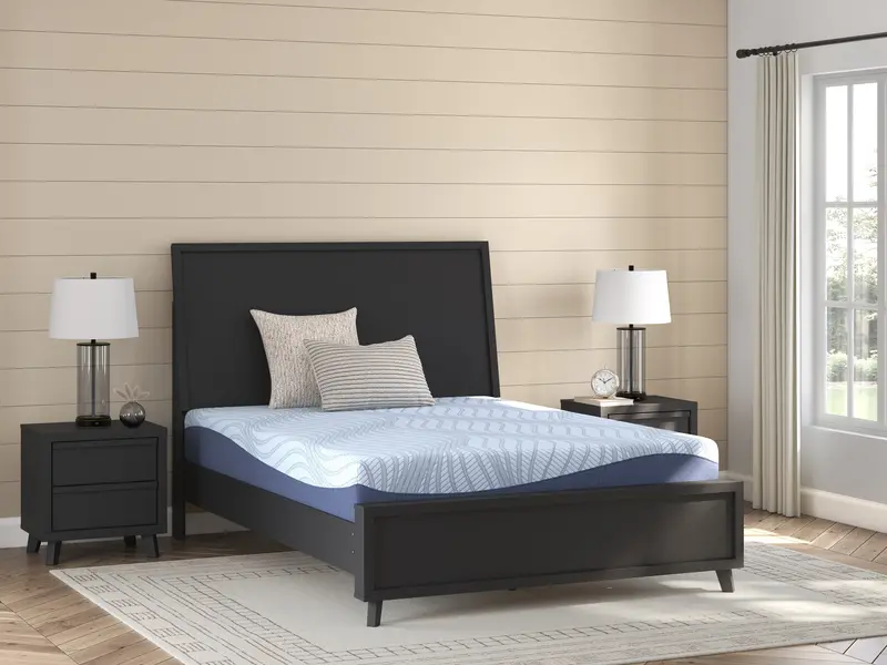Dellyn White Full-Size 10-Inch Memory Foam Mattress 1