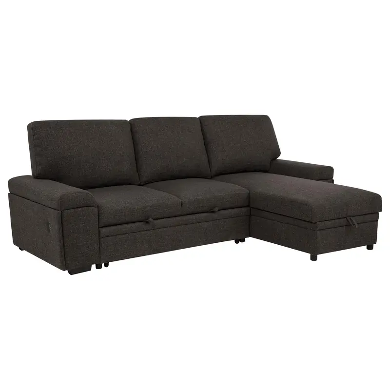 Demko Brown Sleeper Sectional – Integrated Speakers, Storage Chaise & Convertible Design 1