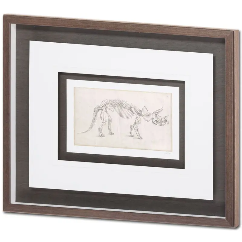 Dinosaur Study Ii Framed Art Print By Ethan Harper – Matted & Glass-Protected 1