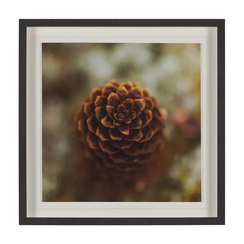 'Down To Earth' Hand-Embellished Photo Art Print By Stig Kalvelid – Framed & Matted Under Glass 1