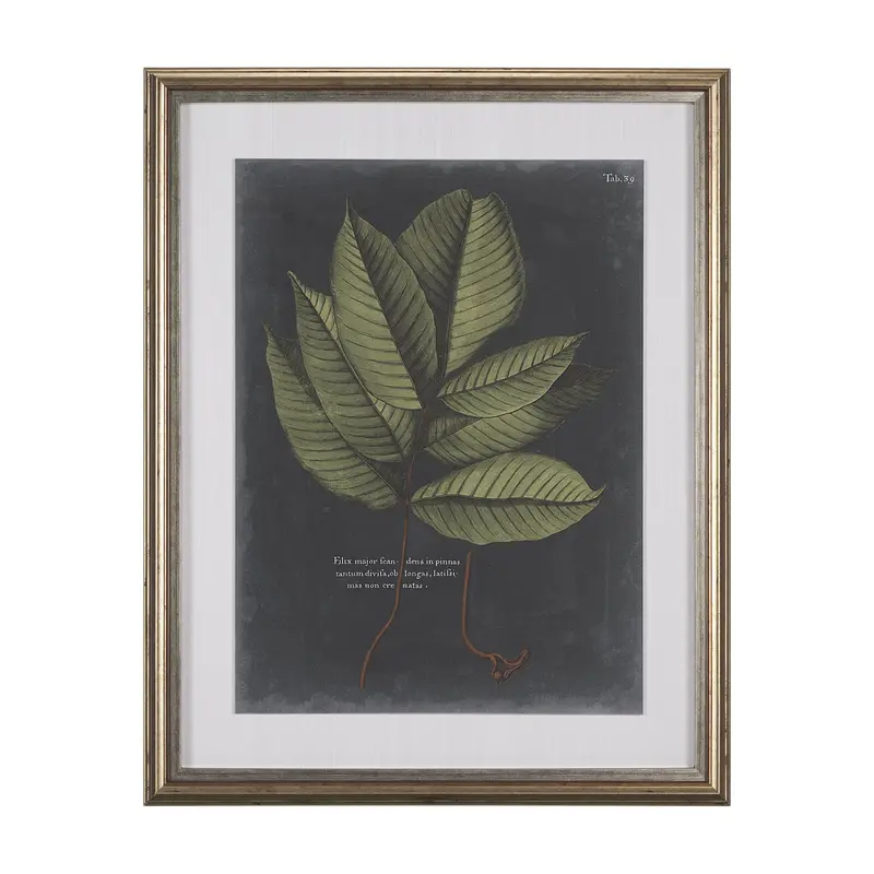 Dramatic Foliage Iii – Hand-Embellished Textured Art Print By Vision Studio, Framed & Matted Under Glass 1