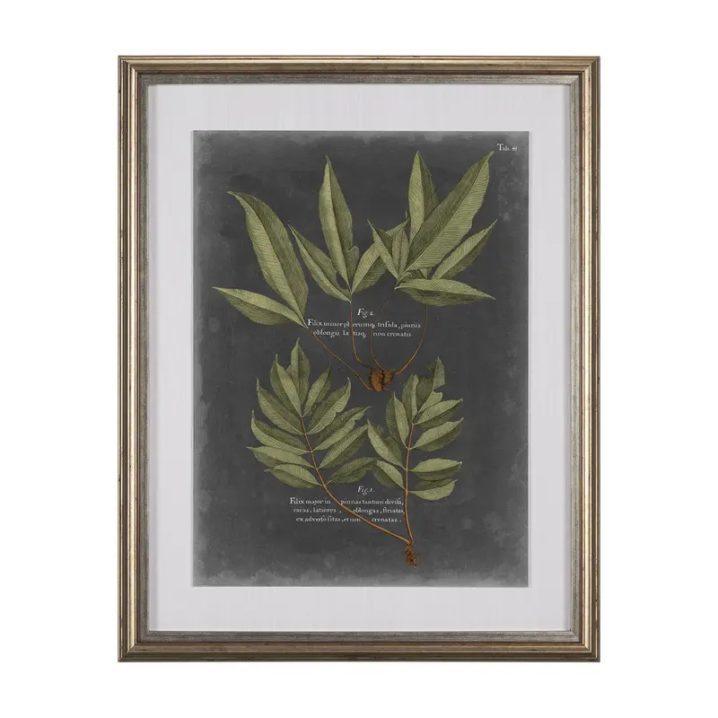 Dramatic Foliage Iv – Hand-Embellished Textured Art Print By Vision Studio, Framed & Matted Under Glass 1