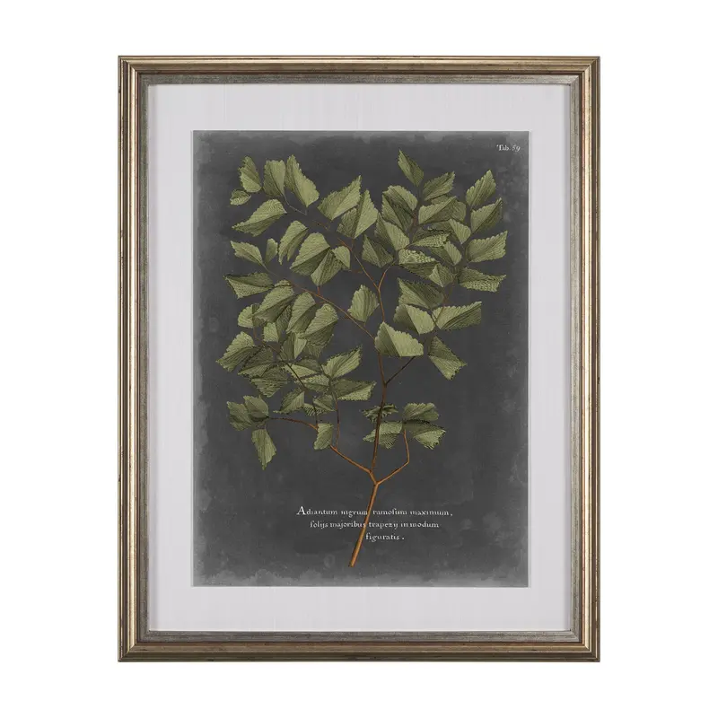 Dramatic Foliage V – Hand-Embellished Textured Art Print By Vision Studio, Framed & Matted Under Glass 1