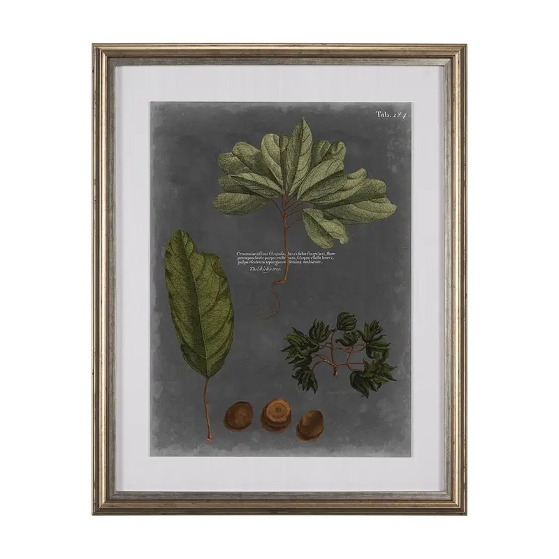 Dramatic Foliage Vi – Hand-Embellished Textured Art Print By Vision Studio, Framed & Matted Under Glass 1