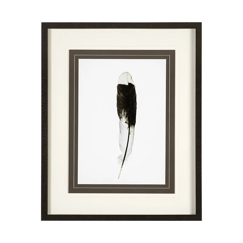Flying Solo – Framed Art Print With Mat And Glass By Nancy Crowell 1