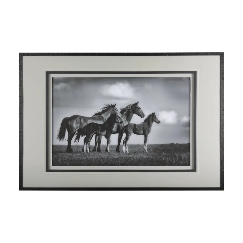 Focused – Framed Photo Art Print With Mat And Glass By Mercana Studio 1