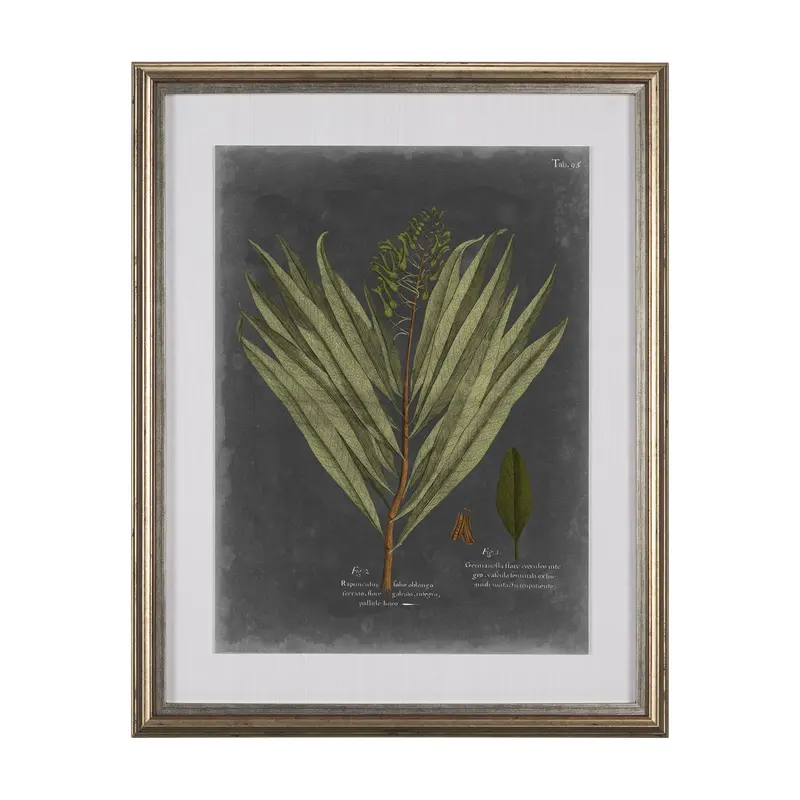 Foliage Dramatique Ii – Hand-Embellished Textured Framed Art Print With Mat And Glass By Vision Studio 1