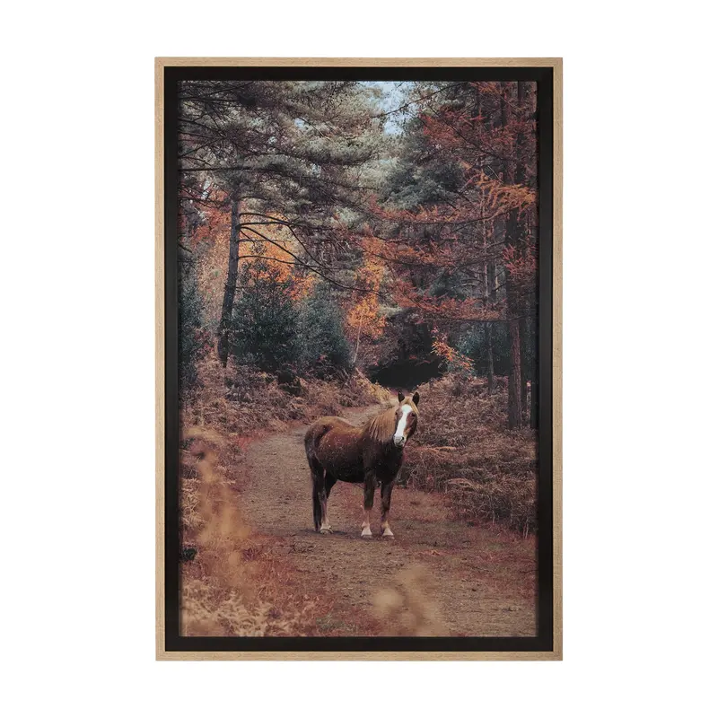 Forest Crossing – Hand-Embellished Framed Photo Art Print By Mercana Studio, Matted Under Glass 1