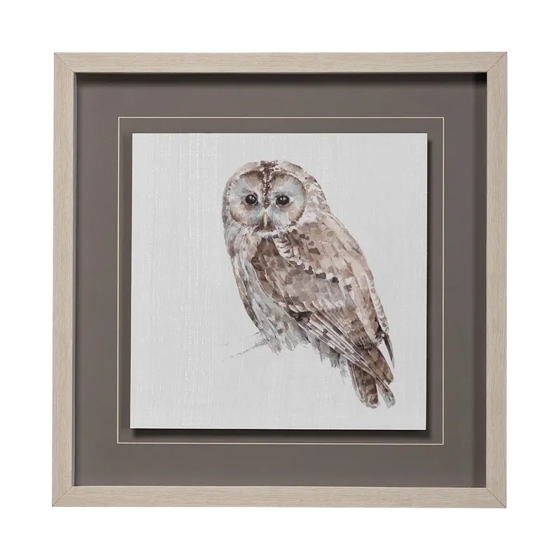 Forest Friends Ix: Owl Edition – Hand-Embellished Framed Art Print By Lisa Audit, Matted Under Glass 1