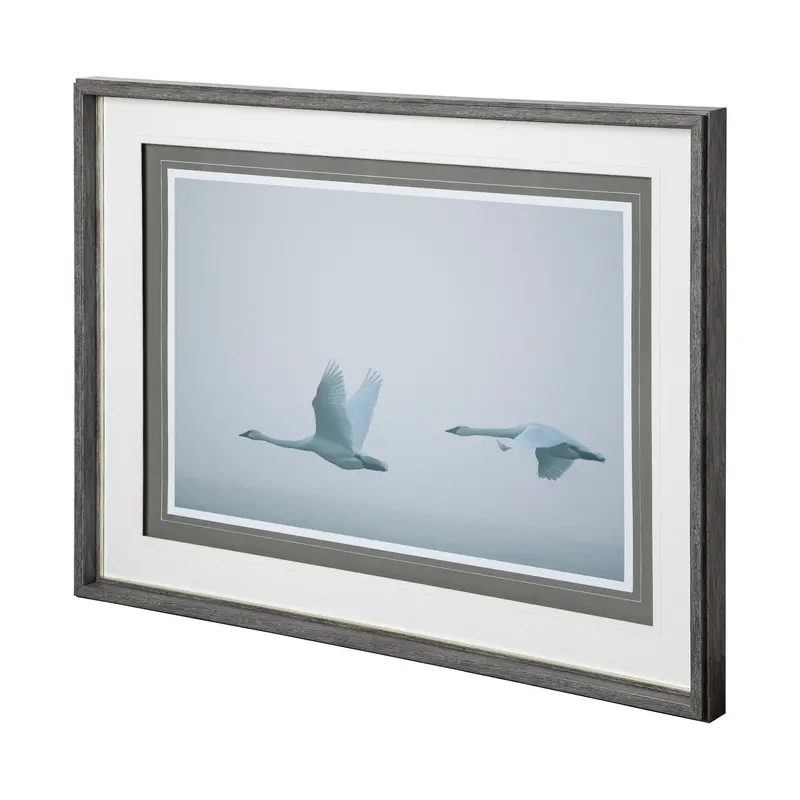 Framed Photo Art Print: 'Andante Ii' By Nancy Crowell 1