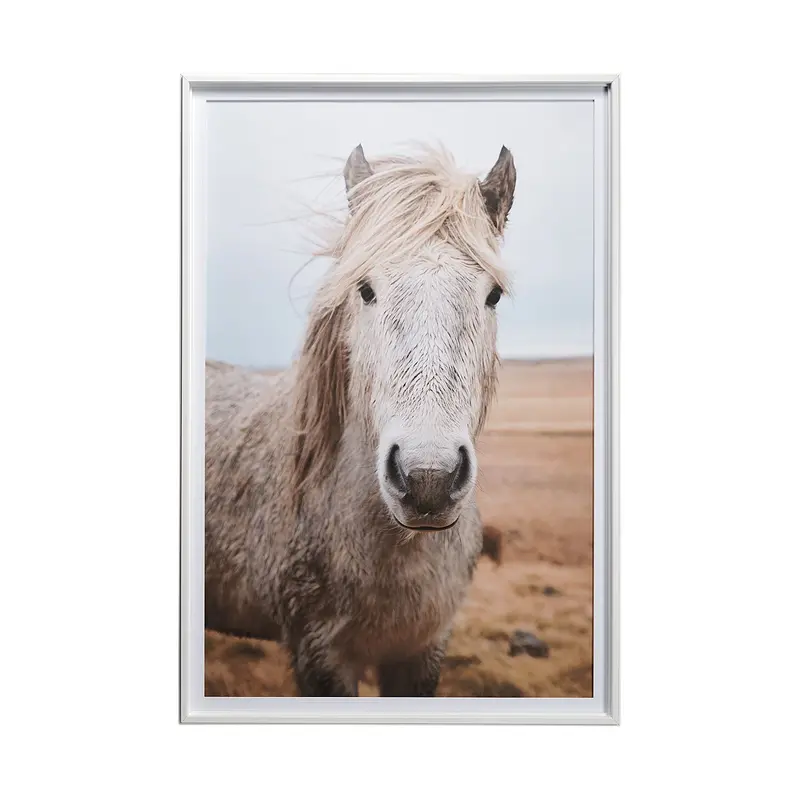 Heida I By Laura Marshall – Framed Photo Art Print With Glass Matting 1