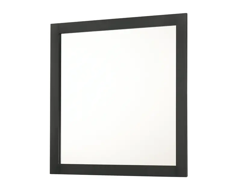 Nemy Brown Dresser Mirror Accessory 1