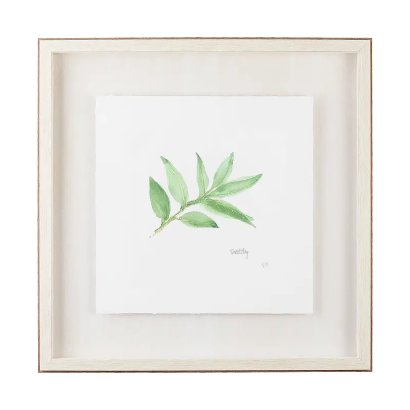 Sweet Bay V2 Framed Art Print By Chris Paschke – Matted Under Glass 1