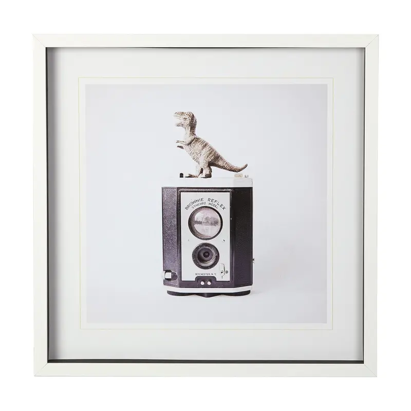 T-Rex & Vintage Camera – Susannah Tucker Matted Glass-Framed Photo Art 1