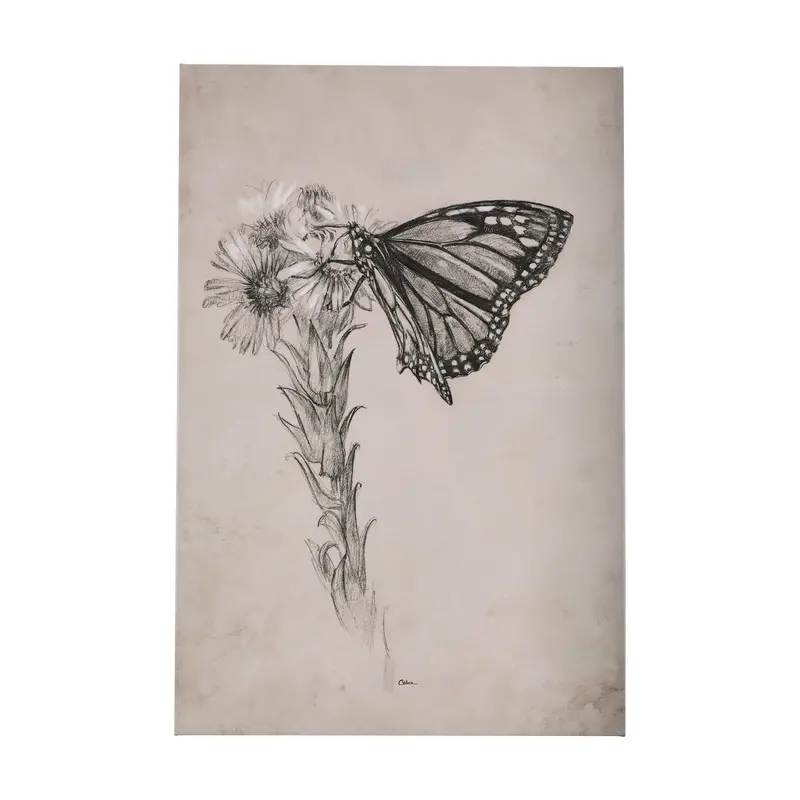 Wild Aster & Monarch Butterfly Iii – Alternate Edition Textured Canvas By Mercana Studio 1