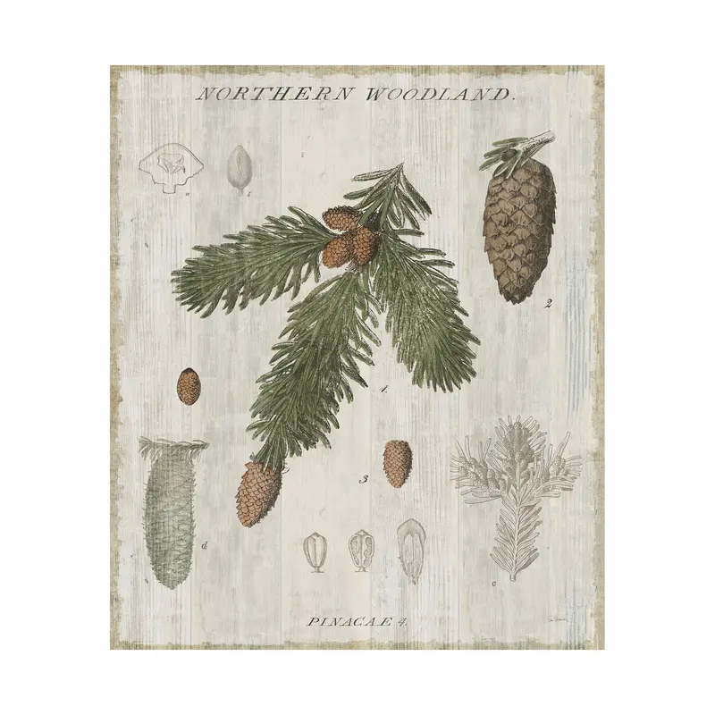 Woodland Chart V Hand-Embellished Textured Canvas By Sue Schlabach 1